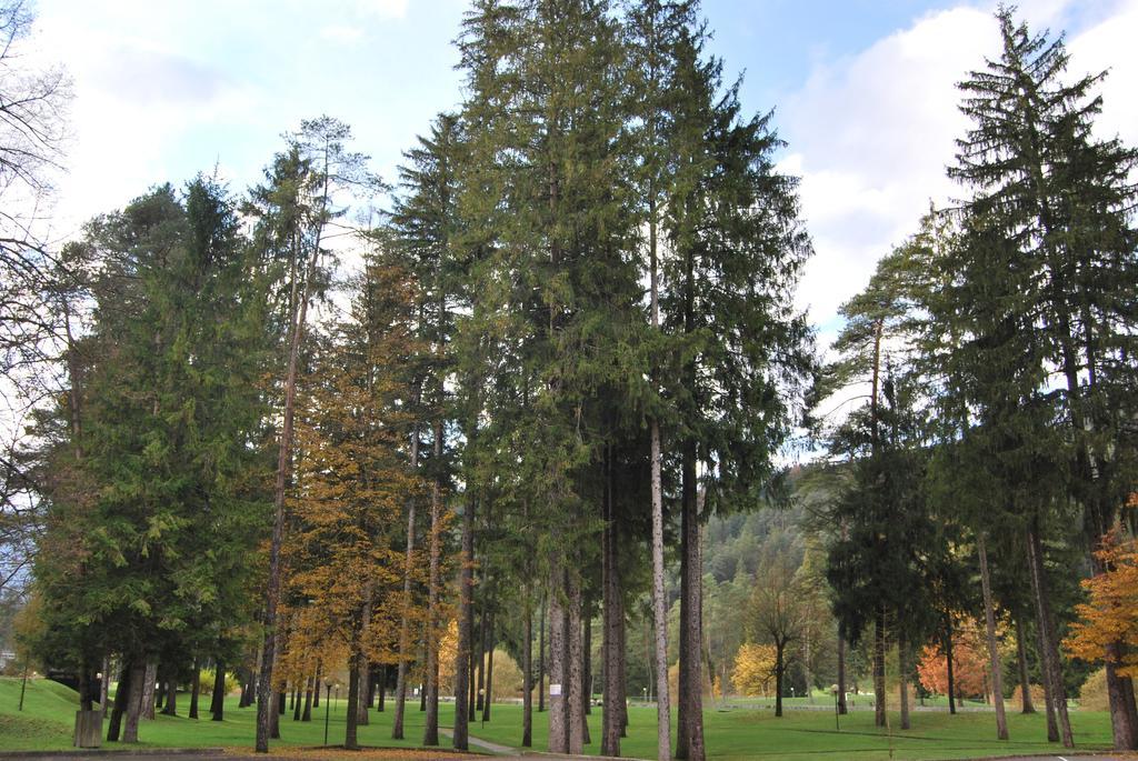 Apartmán Residenza Finestra Sul Parco Comano Terme Exteriér fotografie